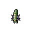 larva