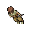 nomad