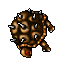 thornback tortoise